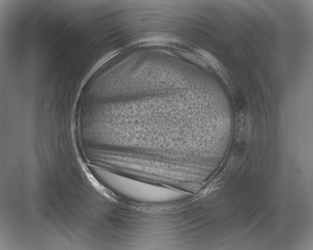 X0000082991042200702160018