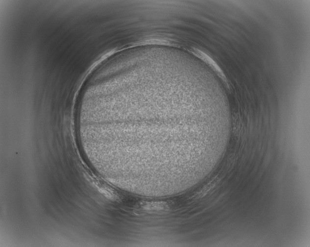 X0000082991043200702160018