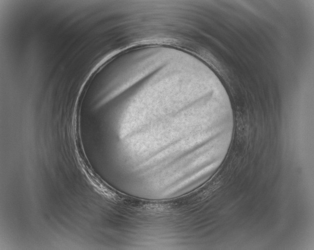 X0000082991044200702160018