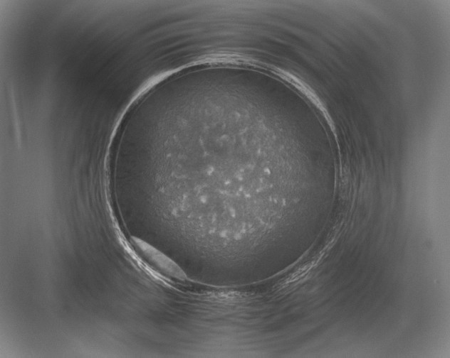 X0000082991045200702160018