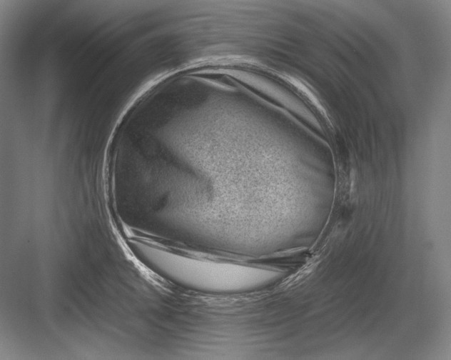 X0000082991046200702160018