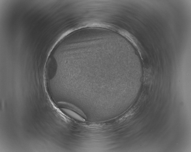 X0000082991048200702160018