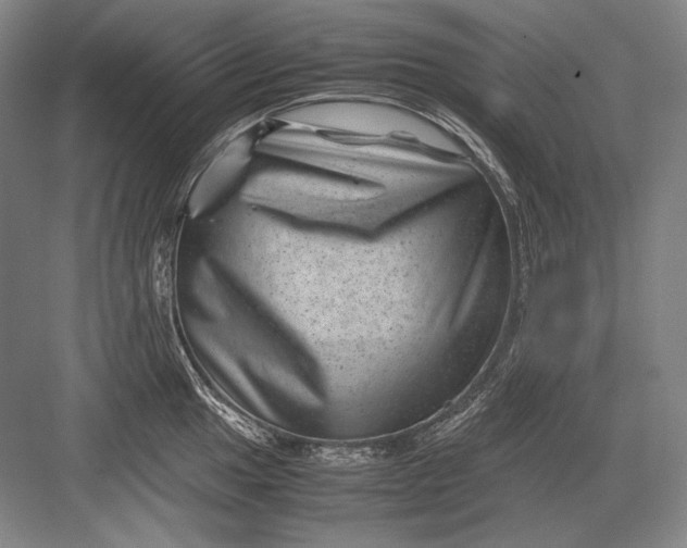 X0000082991049200702160018