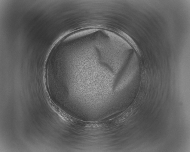 X0000082991051200702160018