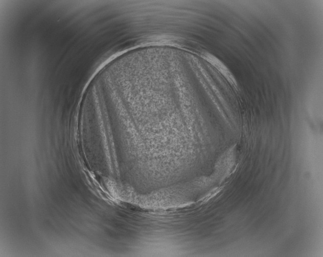 X0000082991052200702160018