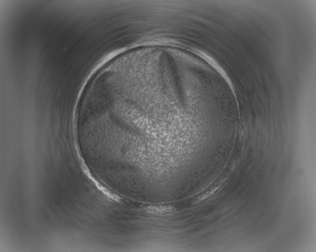 X0000082991053200702160018