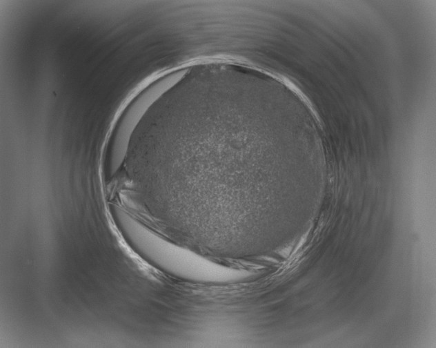 X0000082991054200702160018