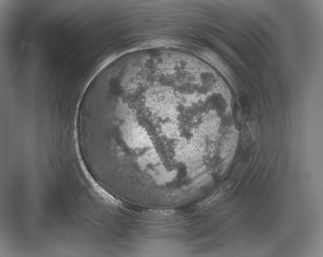 X0000082991055200702160018