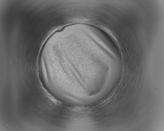 X0000082991056200702160019