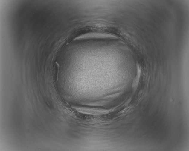 X0000082991057200702160018