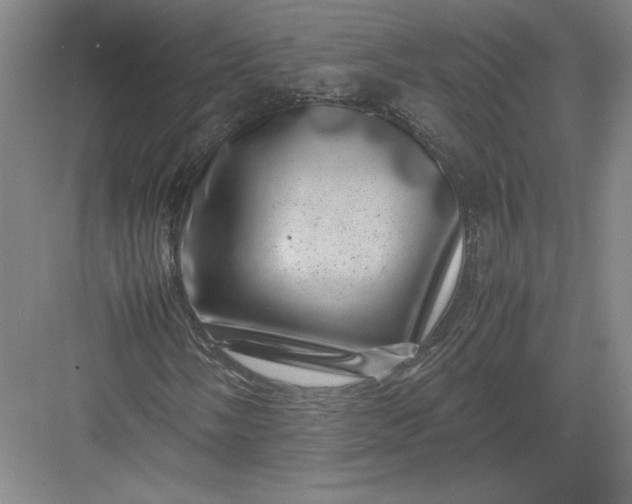 X0000082991058200702160018