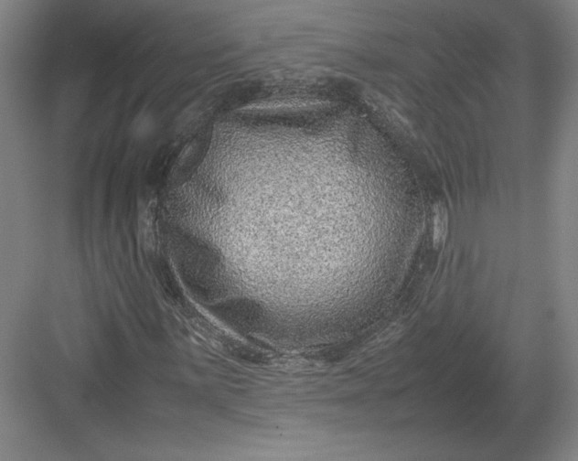 X0000082991059200702160018