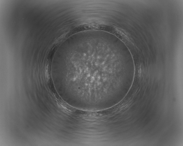 X0000082991060200702160018