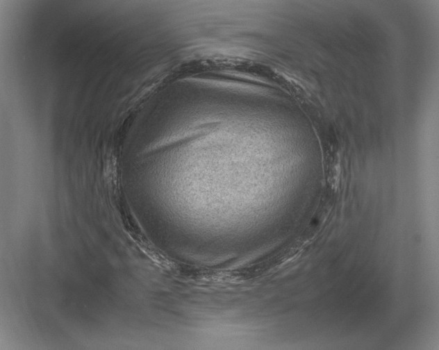 X0000082991061200702160018