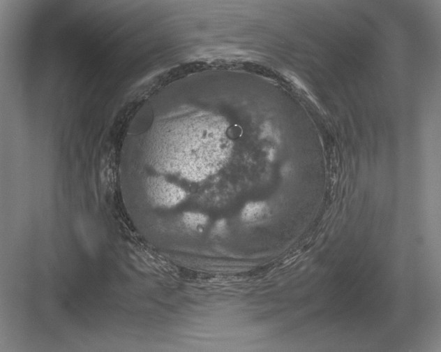 X0000082991063200702160018