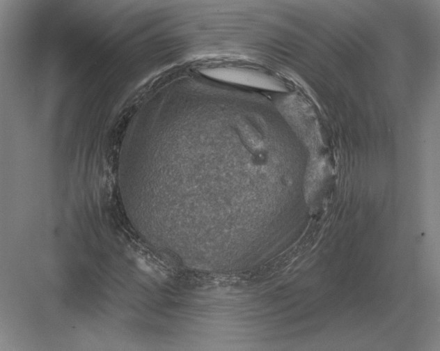 X0000082991064200702160018