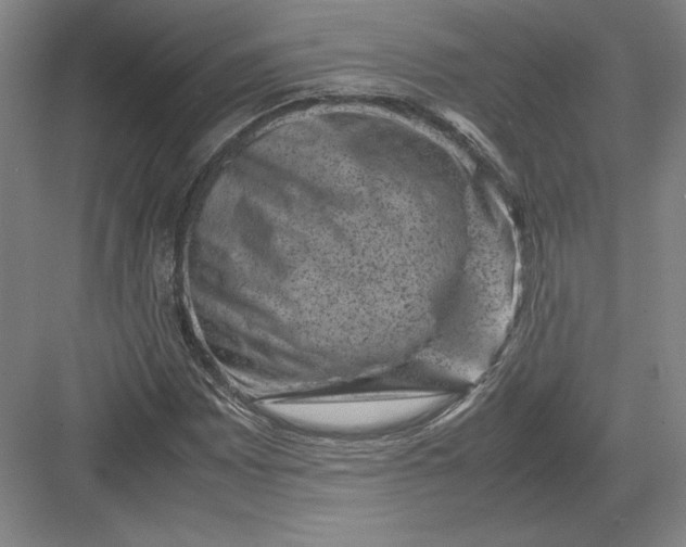 X0000082991065200702160018