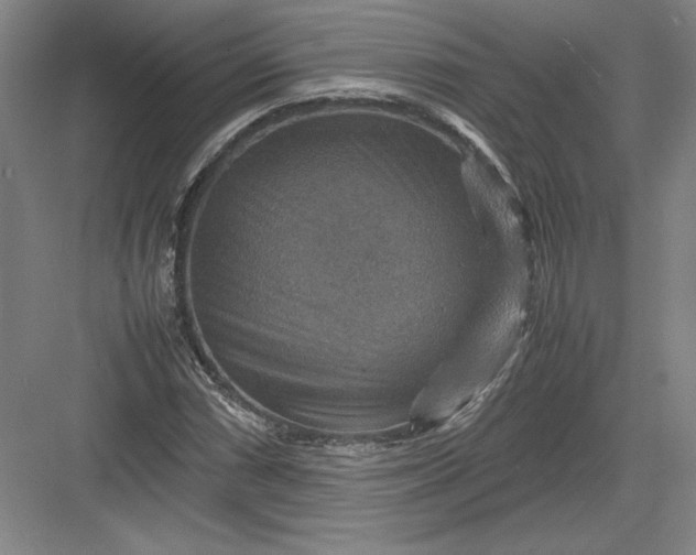 X0000082991066200702160018