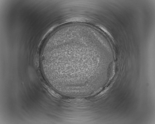 X0000082991067200702160018