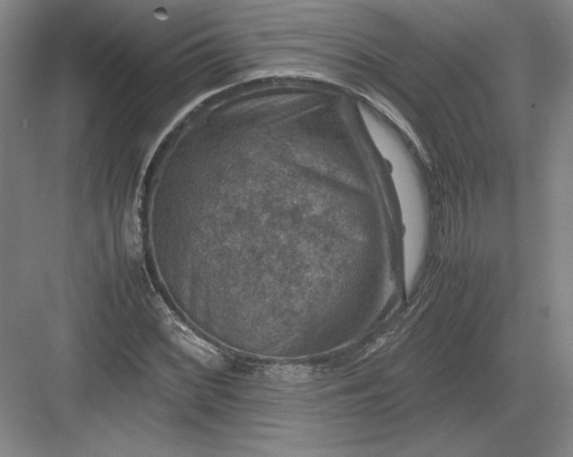 X0000082991068200702160018