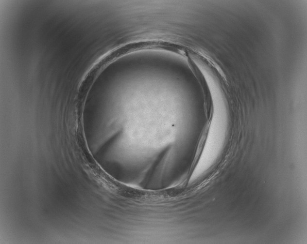 X0000082991069200702160018