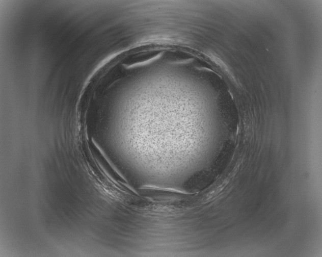 X0000082991070200702160017