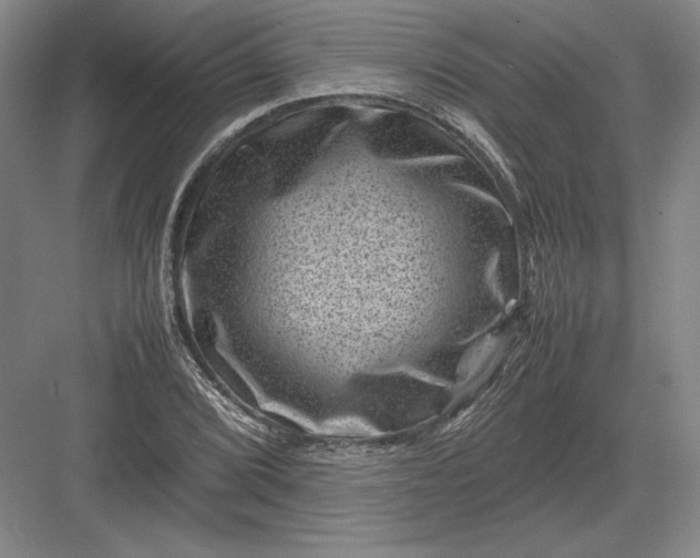 X0000082991072200702160017