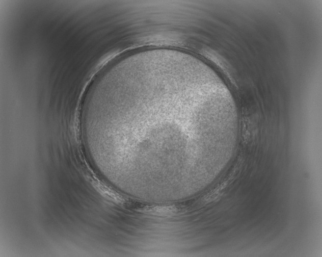 X0000082991074200702160017