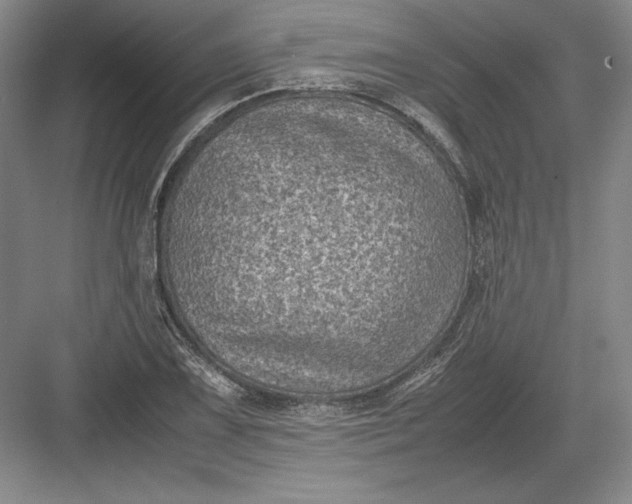 X0000082991075200702160017