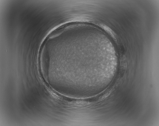 X0000082991077200702160017