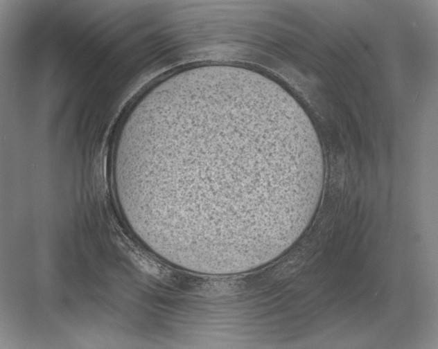 X0000082991078200702160017