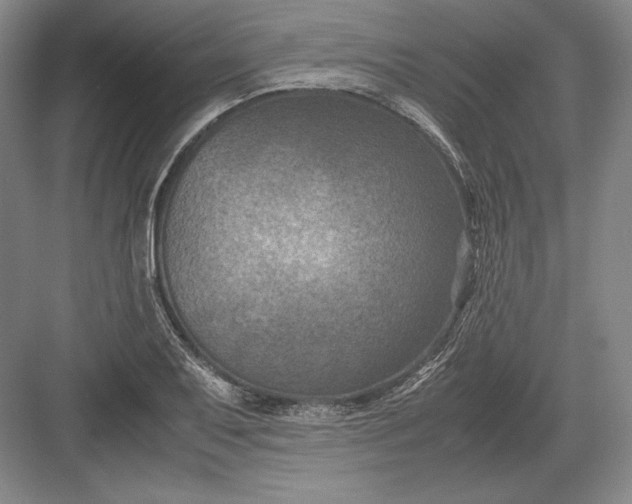 X0000082991079200702160017