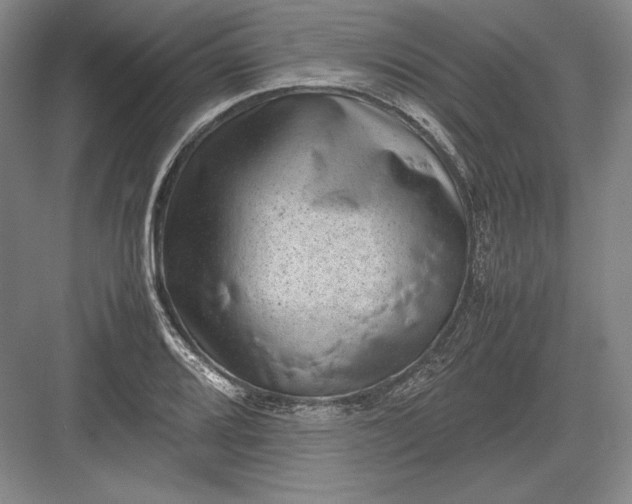 X0000082991080200702160017