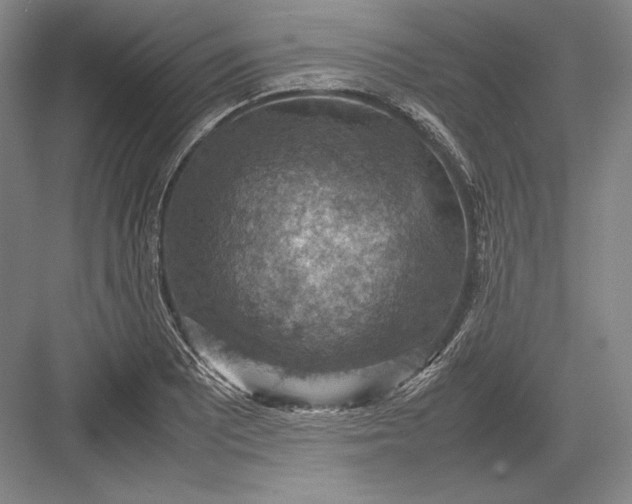 X0000082991081200702160017