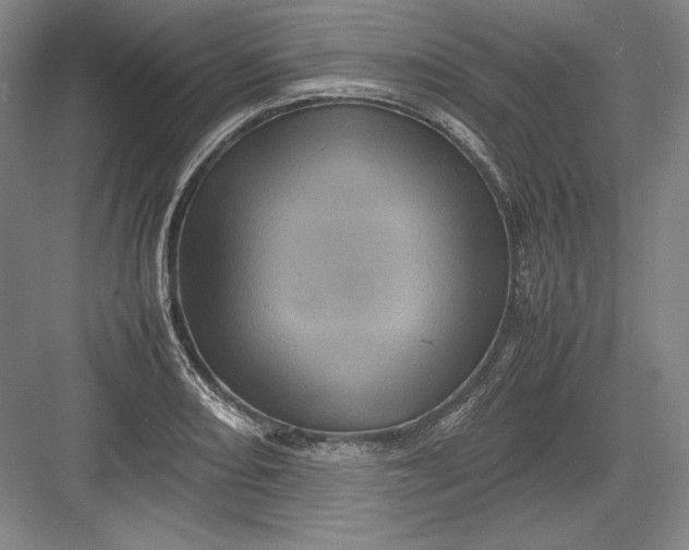 X0000082991082200702160017