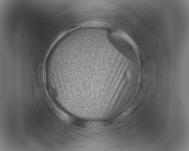 X0000082991083200702160017