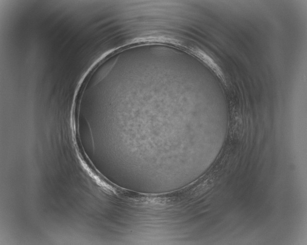 X0000082991084200702160017