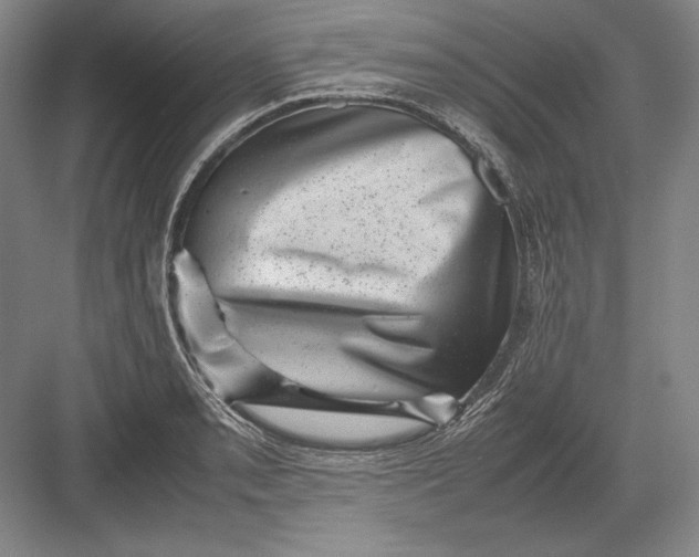 X0000082991085200702160017