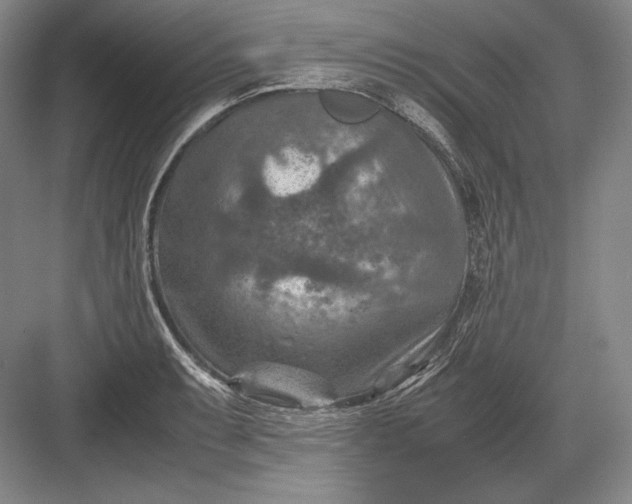 X0000082991087200702160017