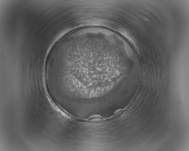 X0000082991088200702160017