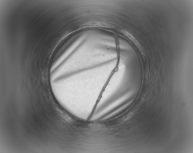 X0000082991089200702160017