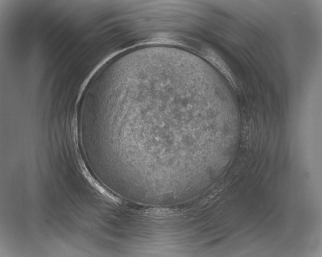 X0000082991092200702160017