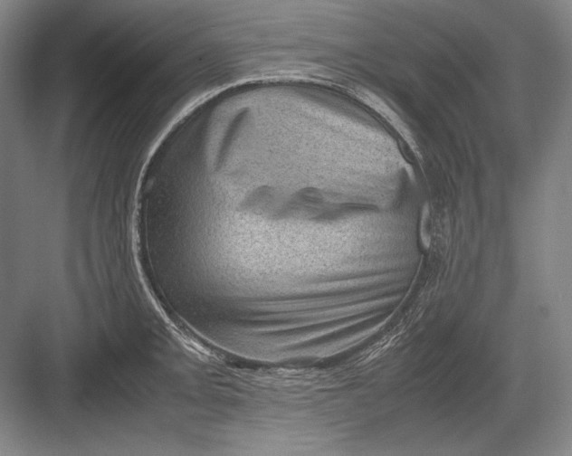 X0000082991093200702160017