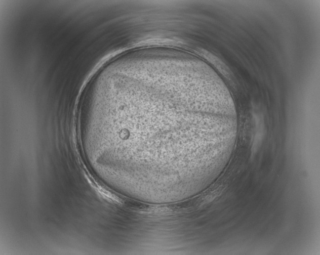 X0000082991094200702160017