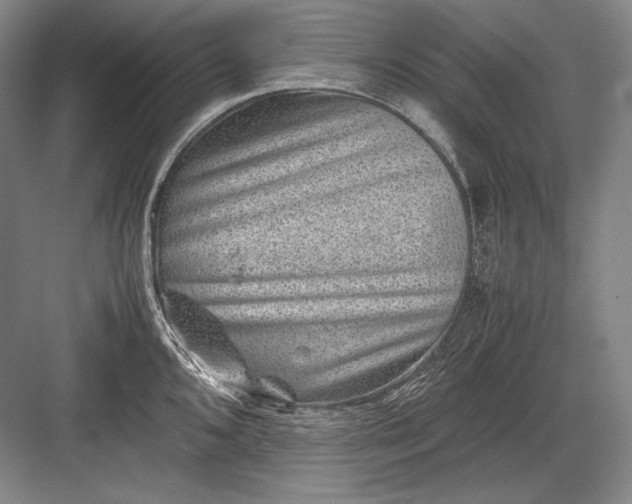 X0000082991096200702160017