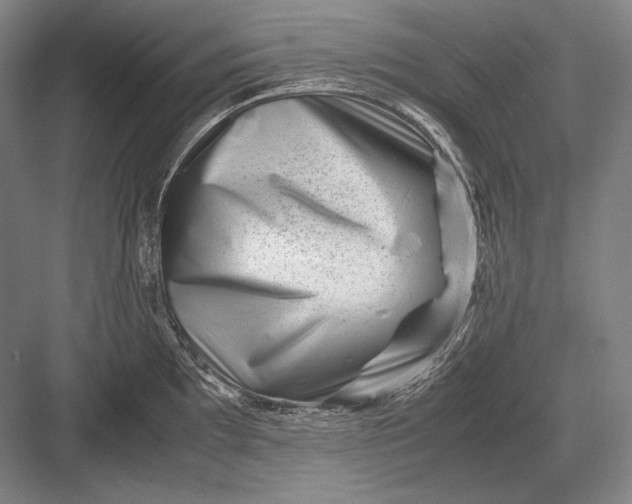 X0000082991097200702160017