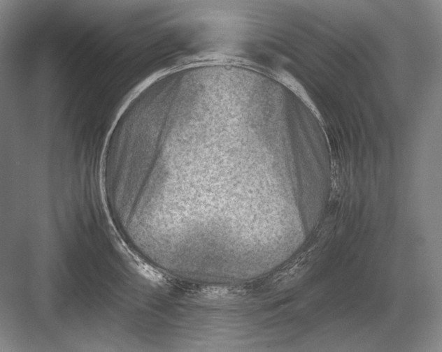 X0000082991098200702160017