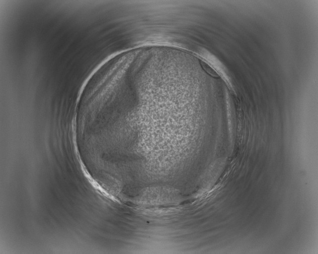 X0000082991100200702160017