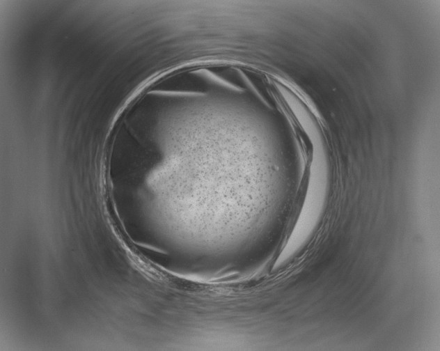 X0000082991101200702160017