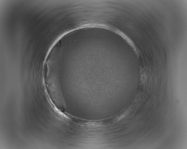 X0000082991102200702160017